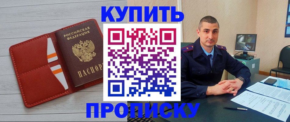 прописка для школы в Мончегорске